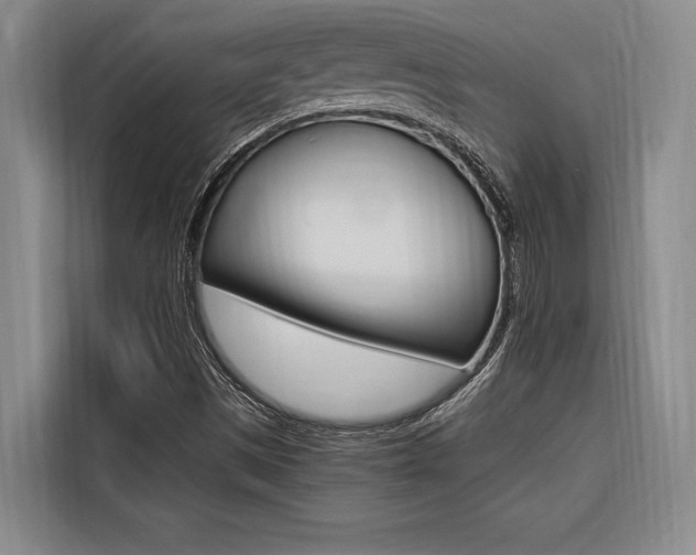X0000116581497200912101258