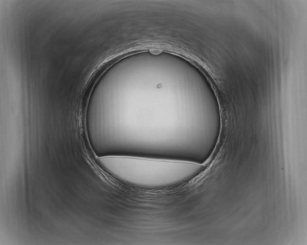 X0000116581499200912101258