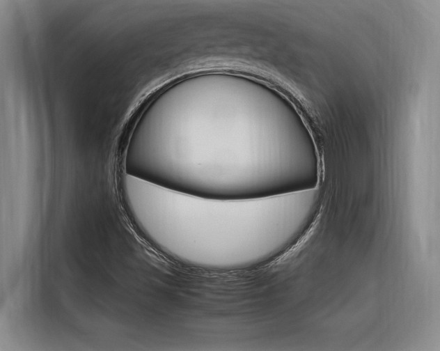 X0000116581501200912101258