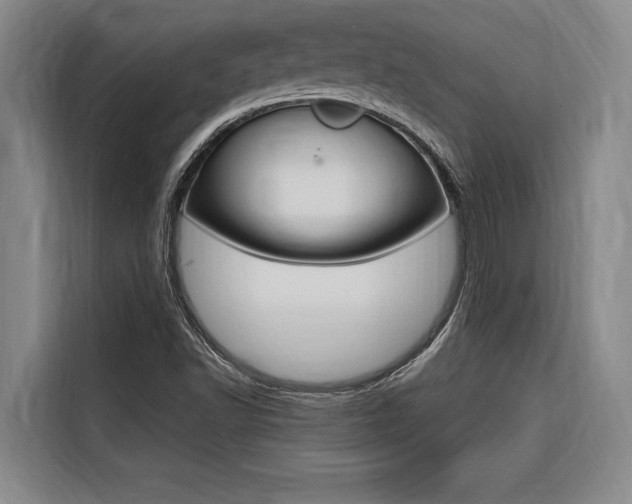 X0000116581502200912101258