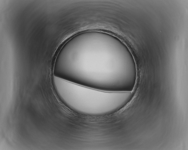 X0000116581505200912101258