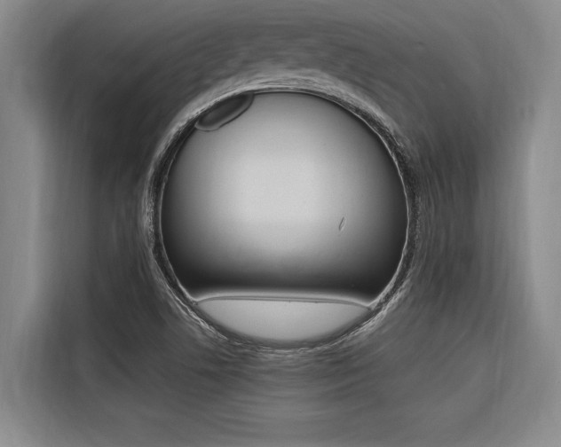 X0000116581506200912101258
