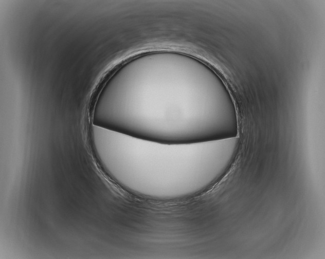X0000116581507200912101258