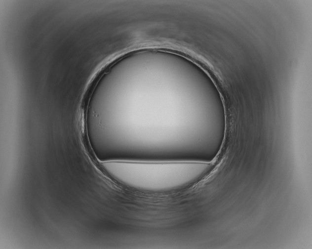 X0000116581509200912101258