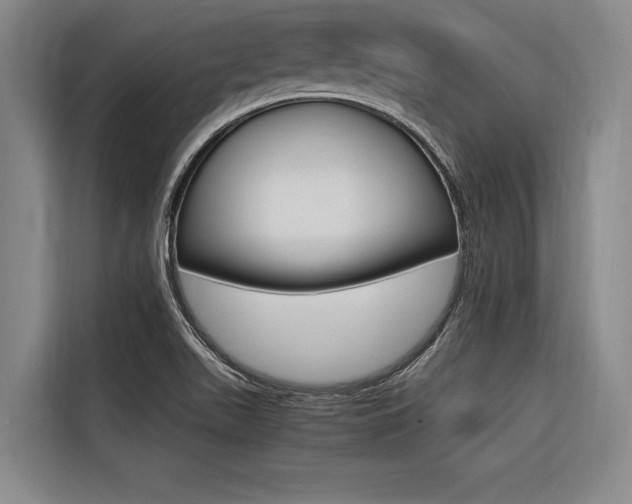 X0000116581511200912101258
