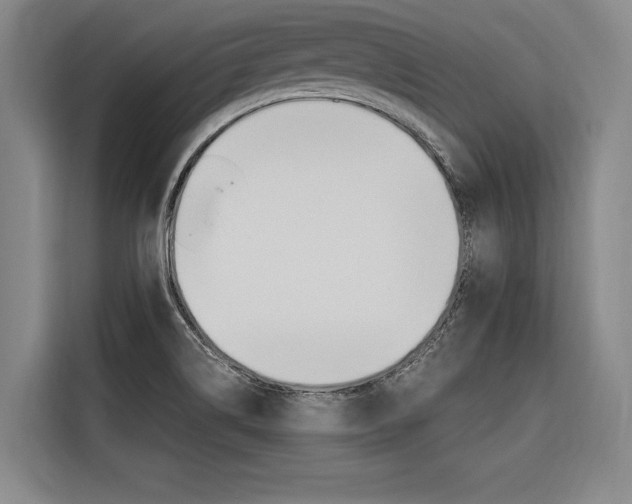 X0000116581514200912101258