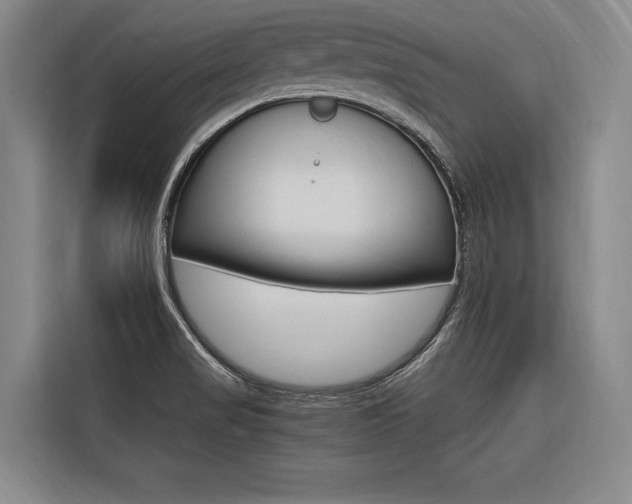 X0000116581517200912101258