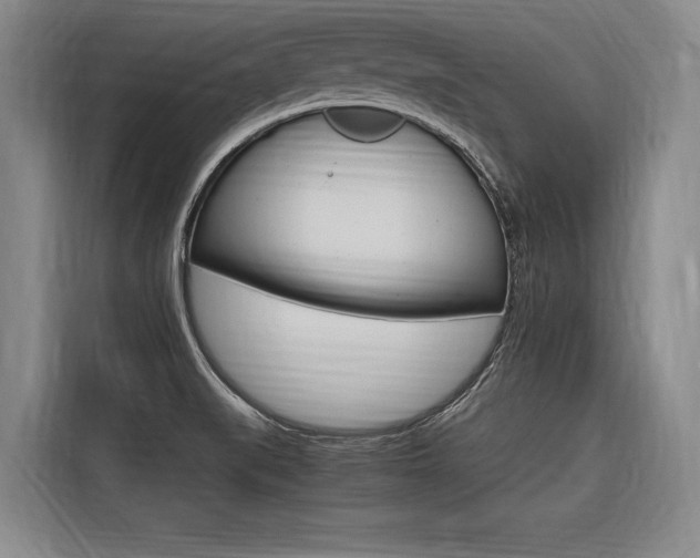 X0000116581519200912101258