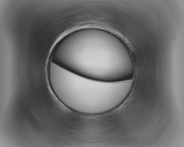 X0000116581522200912101258