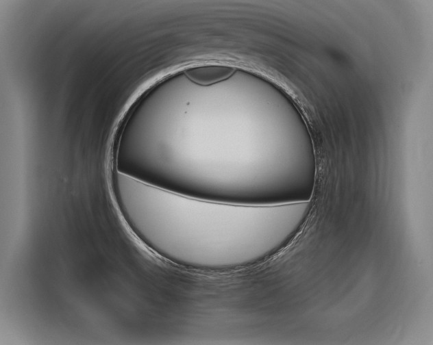 X0000116581523200912101258