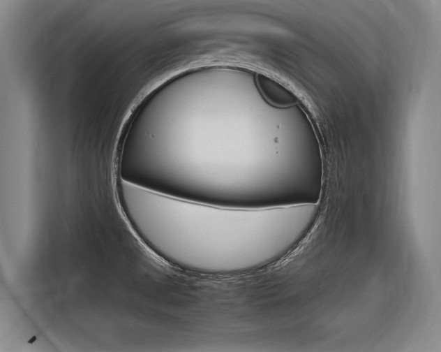 X0000116581525200912101258