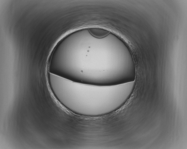 X0000116581526200912101258