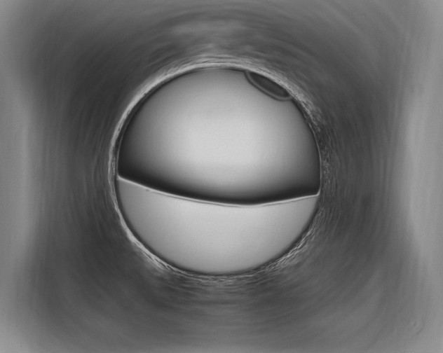 X0000116581527200912101258