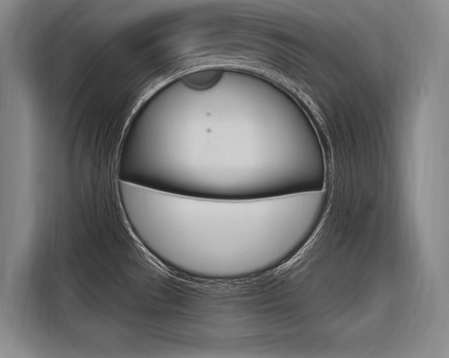 X0000116581529200912101258