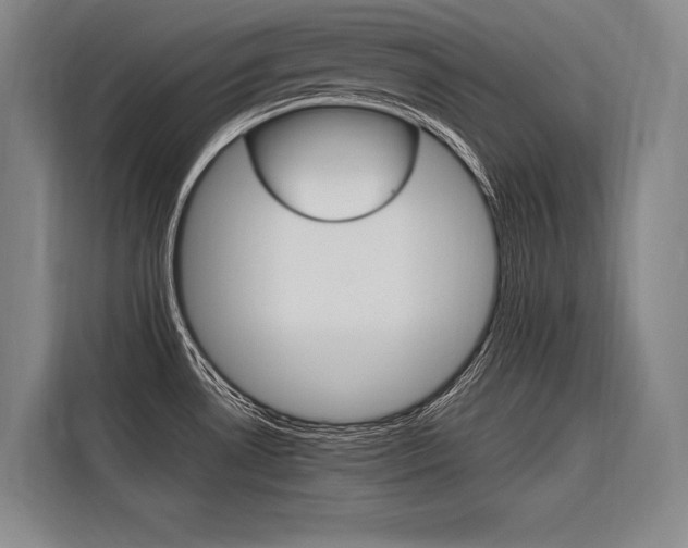X0000116581530200912101258