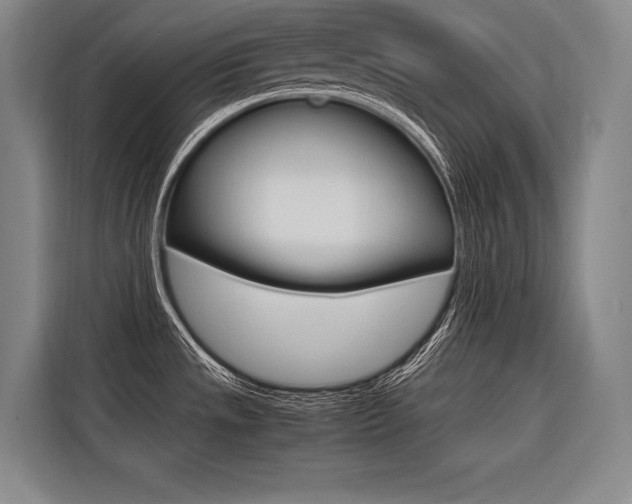 X0000116581533200912101258