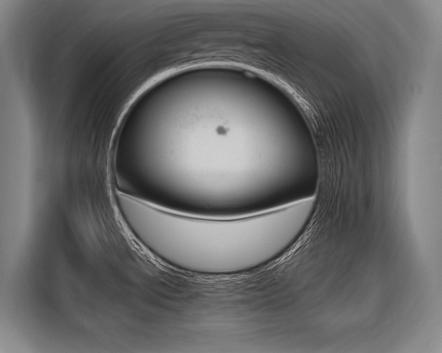 X0000116581534200912101258