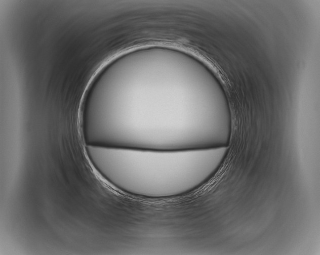 X0000116581535200912101258