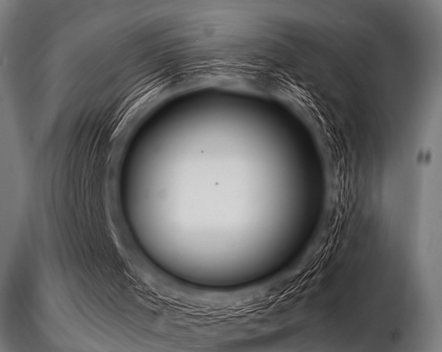 X0000116580001200912101551