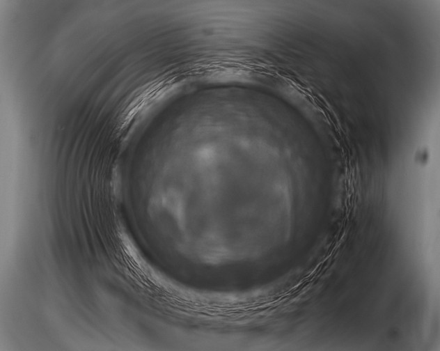 X0000116580002200912101551