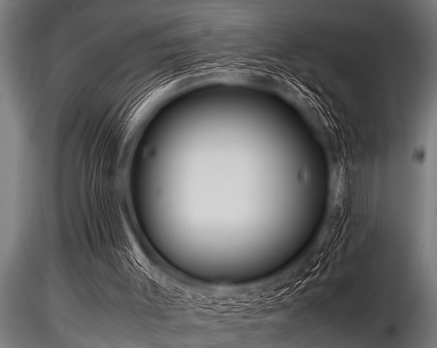 X0000116580003200912101551