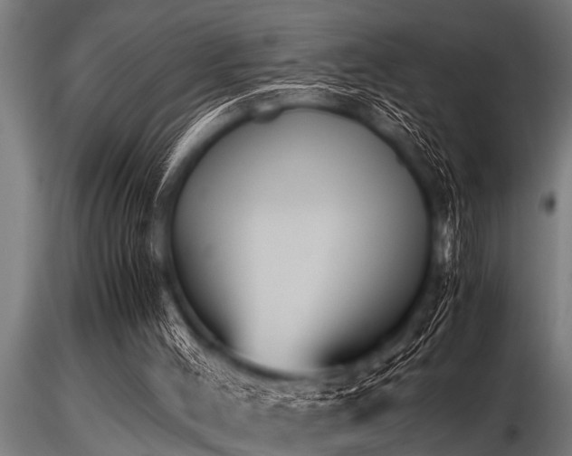 X0000116580004200912101551