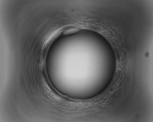 X0000116580005200912101551