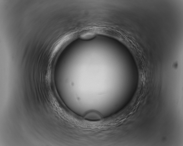 X0000116580006200912101551