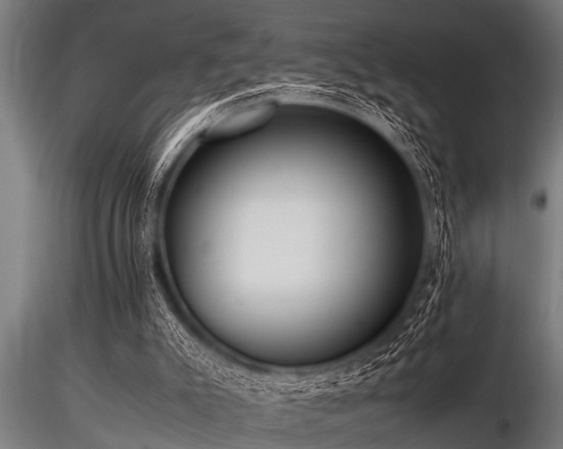 X0000116580007200912101551