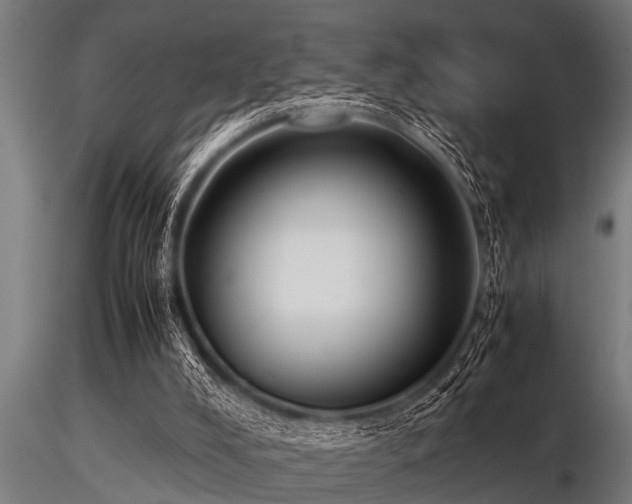 X0000116580008200912101551