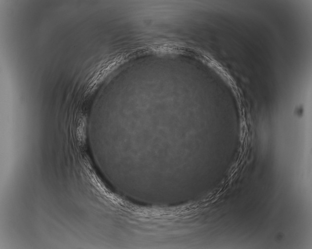 X0000116580009200912101551