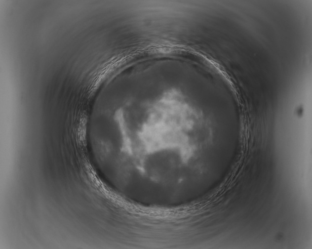 X0000116580010200912101551