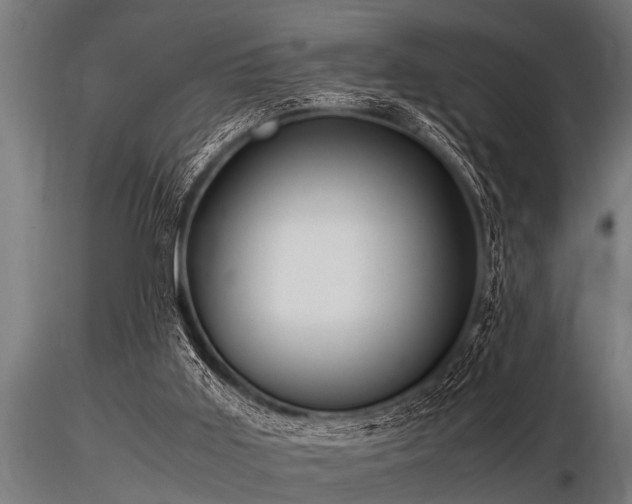 X0000116580011200912101551