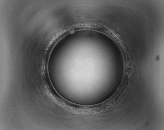 X0000116580012200912101551