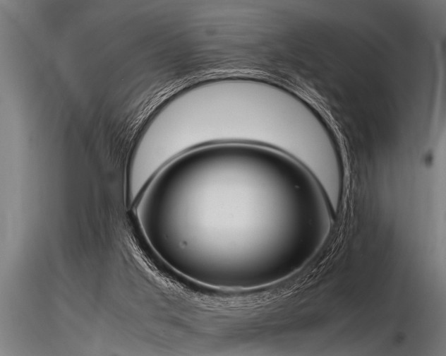 X0000116580013200912101551