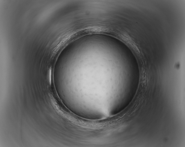 X0000116580014200912101551