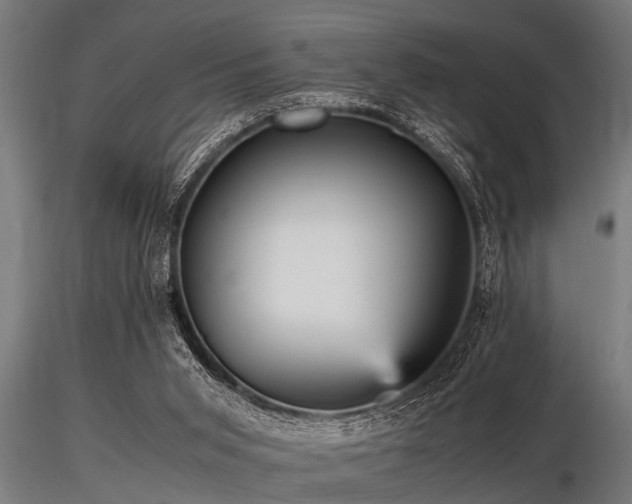 X0000116580015200912101551