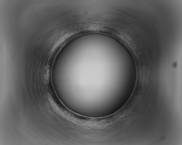 X0000116580016200912101551