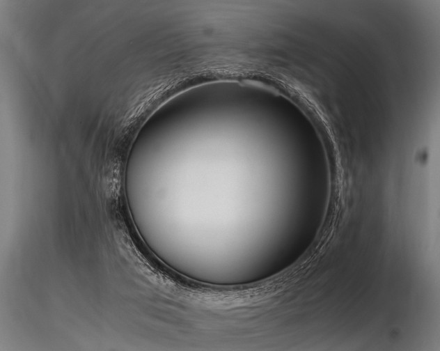 X0000116580017200912101551