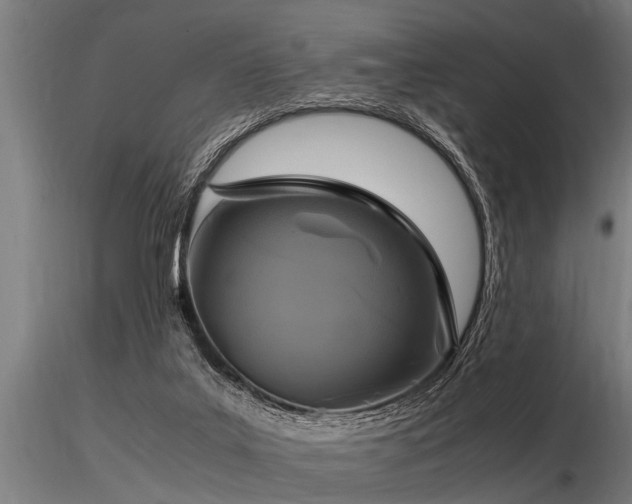 X0000116580019200912101551