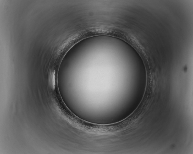 X0000116580020200912101551