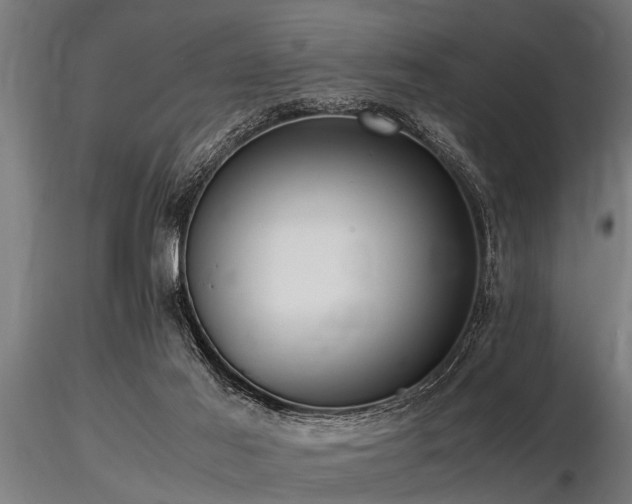 X0000116580021200912101551