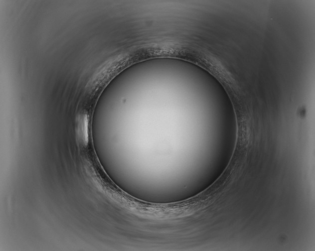 X0000116580022200912101551