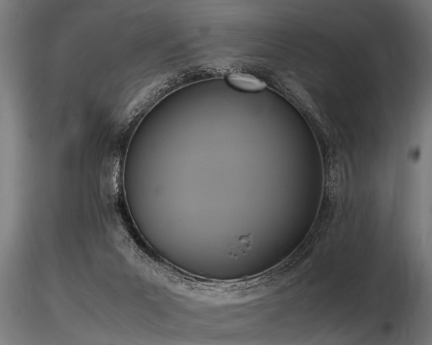 X0000116580023200912101551