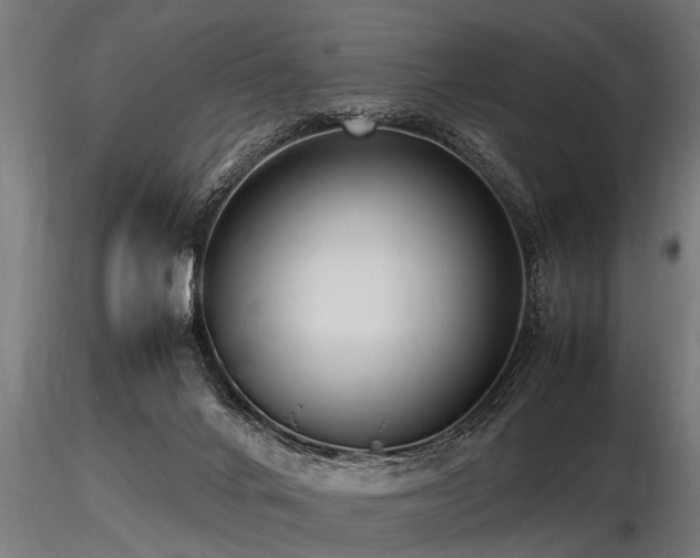 X0000116580024200912101551