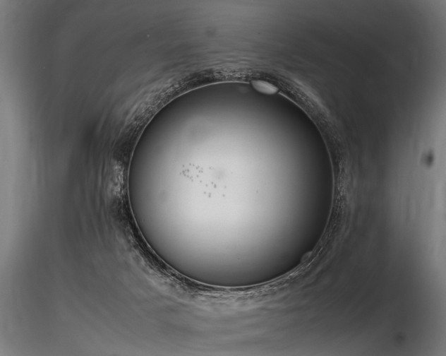 X0000116580025200912101551