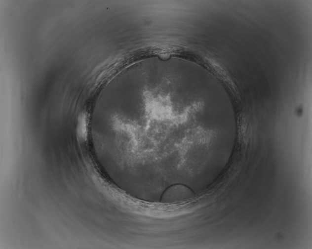 X0000116580026200912101551