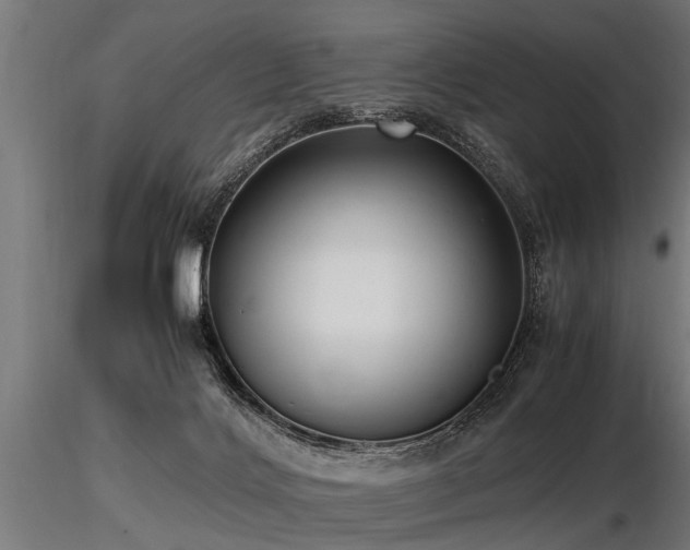 X0000116580028200912101551