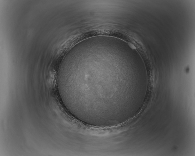 X0000116580029200912101551