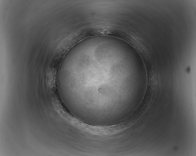 X0000116580030200912101550